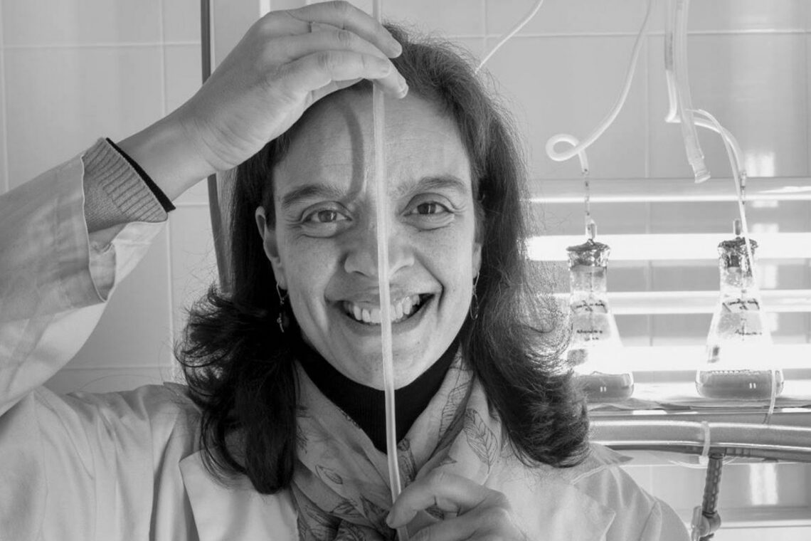 Investigadora do Politécnico de Leiria integra Conselho Nacional de Ciência, Tecnologia e Inovação