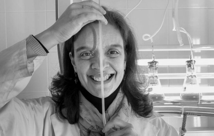 Investigadora do Politécnico de Leiria integra Conselho Nacional de Ciência, Tecnologia e Inovação