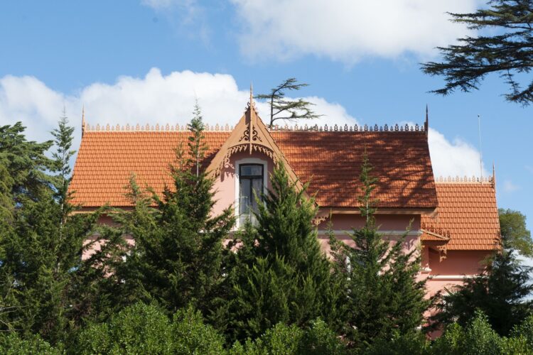 Câmara de Leiria aprova adesão à Fundação de Serralves