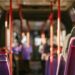 Nazaré assegura transporte gratuito dia 1 de Janeiro