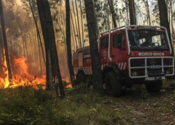 CIM da Região de Leiria lança concurso de 2,2 ME para novos veículos florestais