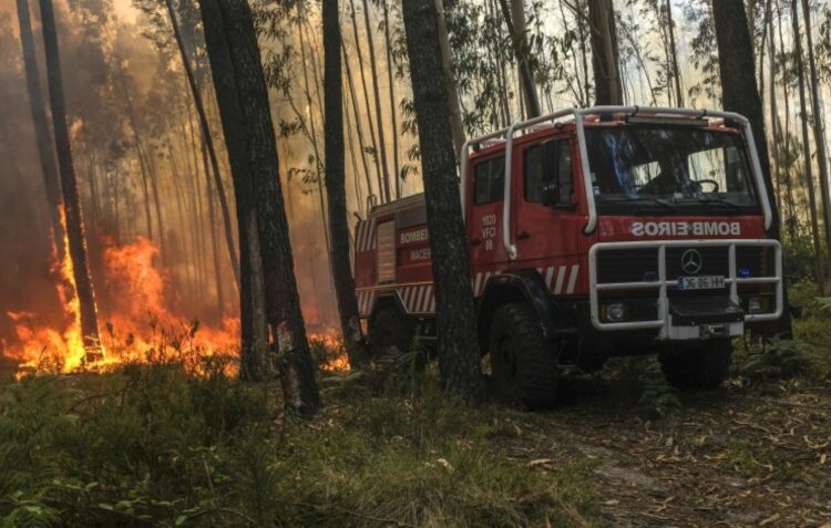 CIM da Região de Leiria lança concurso de 2,2 ME para novos veículos florestais