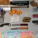 Homem detido em Óbidos na posse de cocaína, canábis e MDMA