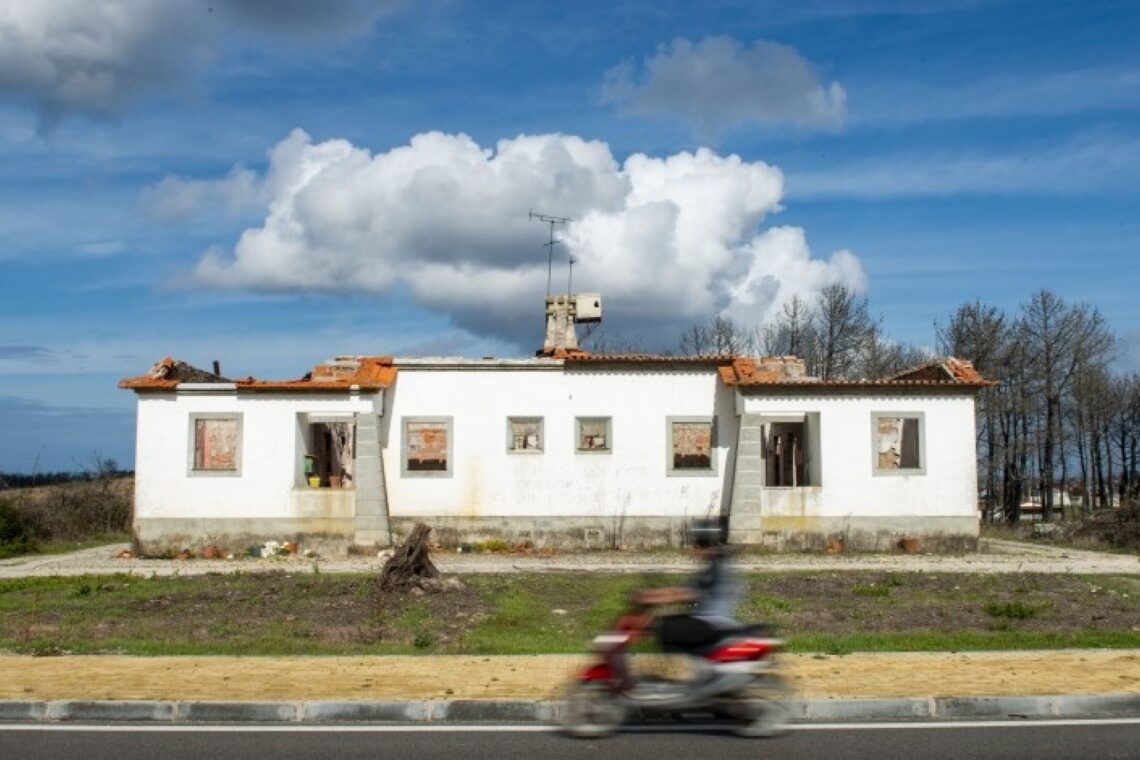 Pinhal de Leiria. Novo livro revela as casas de guarda e outros edifícios da floresta