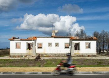 Pinhal de Leiria. Novo livro revela as casas de guarda e outros edifícios da floresta