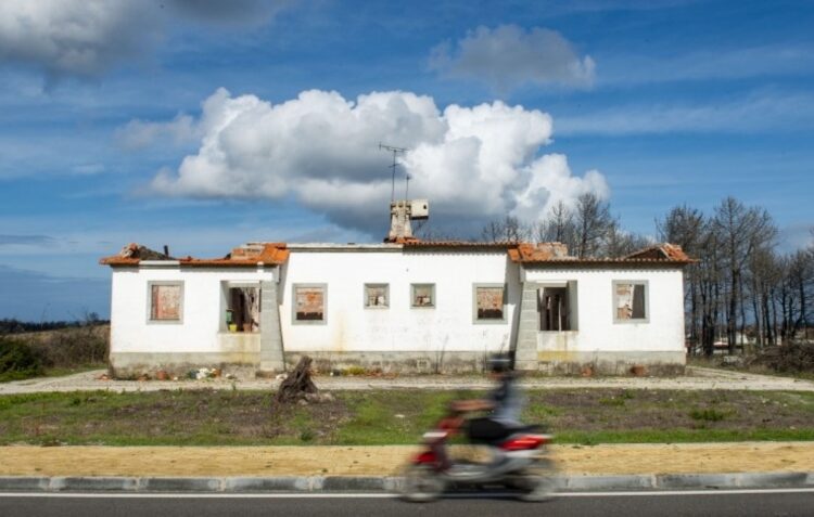 Pinhal de Leiria. Novo livro revela as casas de guarda e outros edifícios da floresta