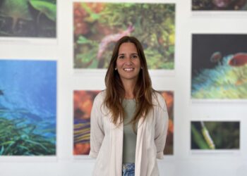 Investigadora de Ourém ganha prémio  que dará 300 mil euros para projecto científico