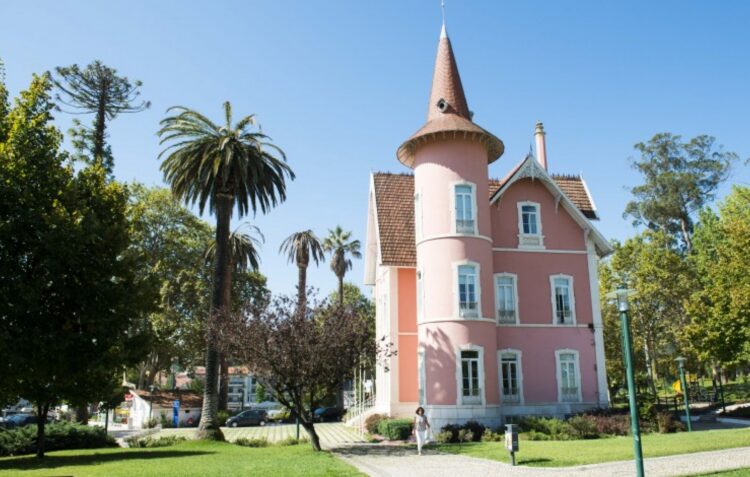 Câmara de Alcobaça abre segunda fase das candidaturas às bolsas de estudo