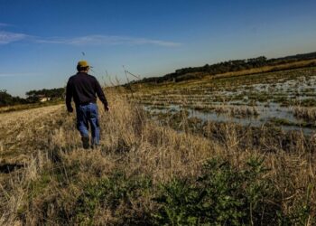 Queixas por espalhamento de efluentes em Leiria caíram para metade