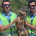 GNR regista 619 denúncias relacionadas com a protecção do ambiente e bem-estar animal