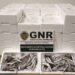 GNR apreende 240 quilos de pescada sub-dimensionada na Nazaré