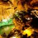 Grutas de Mira de Aire fechadas a visitas devido a inundação