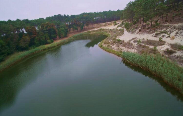 Requalificada, Lagoa do Saloio terá passadiço e torre de observação de pássaros