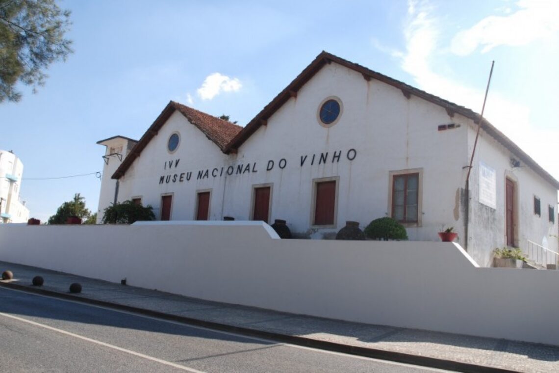AIRO oferece Pequeno-Almoço Empresarial no Museu do Vinho