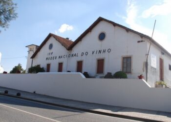 AIRO oferece Pequeno-Almoço Empresarial no Museu do Vinho