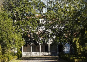 Marinha Grande apresenta plano estratégico para Museu da Floresta