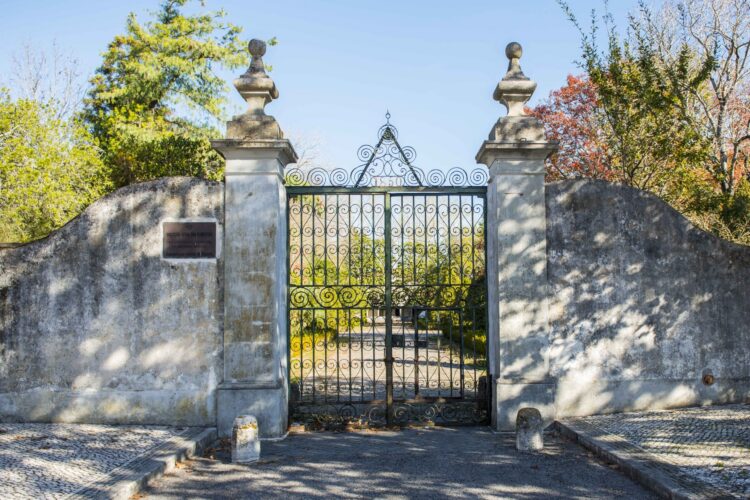 Museu, jardim e hotel concluídos até 2030 no Engenho