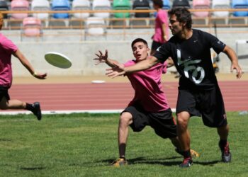 Docente do Politécnico de Leiria cria manual para introduzir desportos de disco no 1.º ciclo e jardins de infância