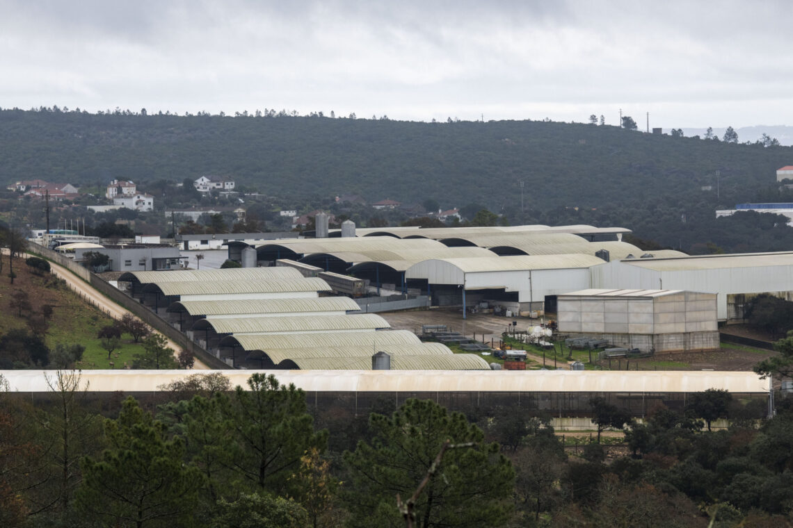 Segundo o presidente da  câmara, os pavilhões da zona  industrial “estão praticamente  todos ocupados”