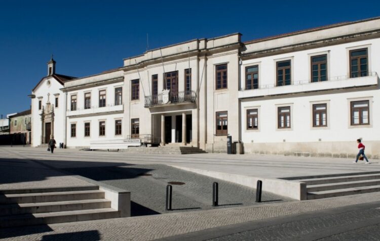 Investimento de cerca de 1,5 ME requalifica mercado municipal de Ansião