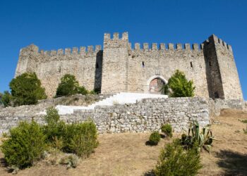 Castelo de Pombal regista crescimento “significativo” de visitantes em 2024
