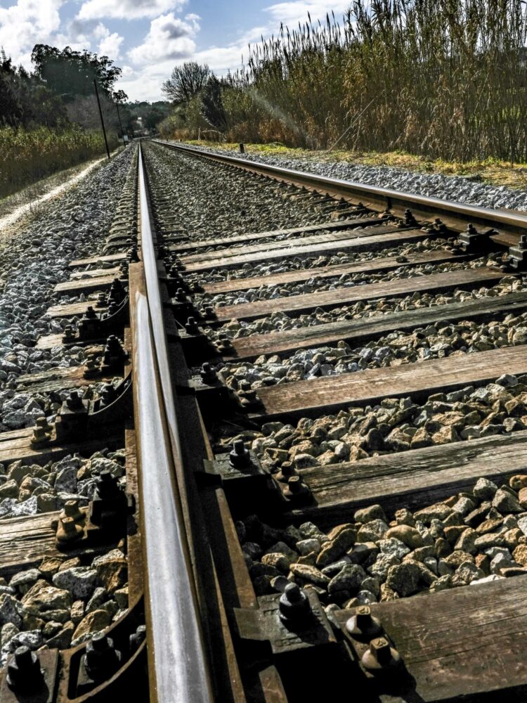 Alta velocidade “vai mudar tudo” na Barosa