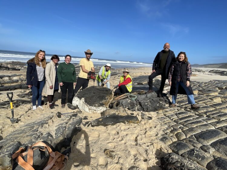 Extraído fóssil de dinossauro em Água de Madeiros
