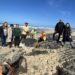 Extraído fóssil de dinossauro em Água de Madeiros