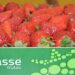 Frutas Classe vence categoria do Prémio Nacional de Agricultura