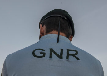 GNR aprende 2.200 quilos de tabaco de mascar ilegal nas Caldas da Rainha