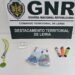 GNR trava onda de furtos com detenção em Porto de Mós
