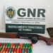 Homem detido pela GNR por caçar junto a habitações