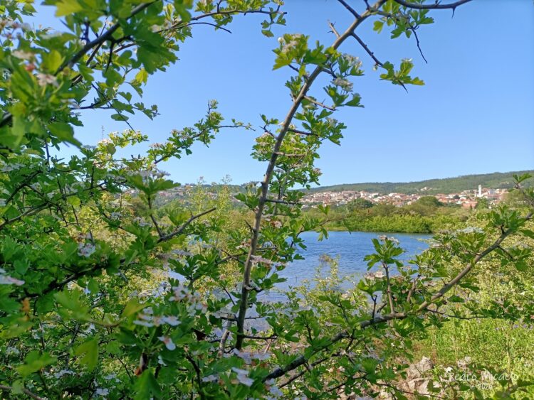 Passeio convida à descoberta do polje Mira-Minde