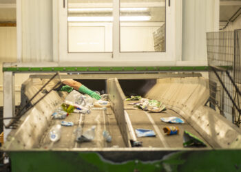 Reciclagem na região aumentou 6% no último ano