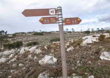 Proprietários recebem ajuda para tornar Alqueidão da Serra mais resistente ao fogo