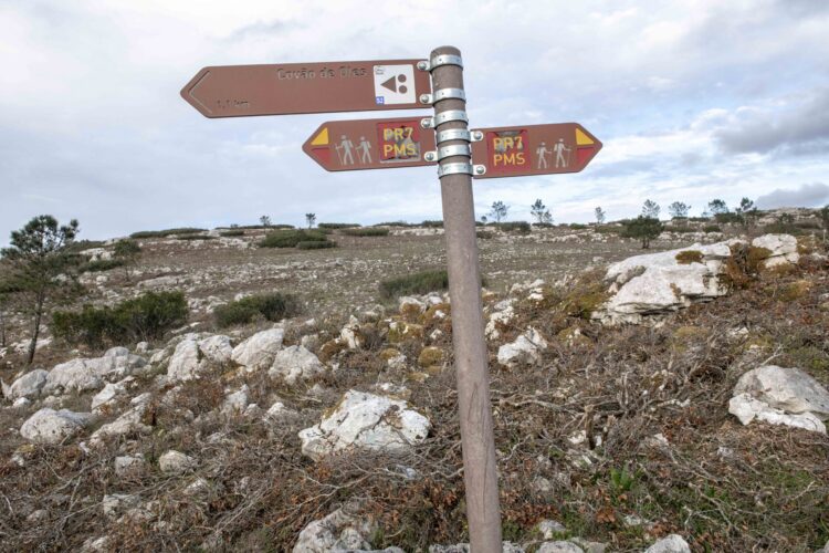 Proprietários recebem ajuda para tornar Alqueidão da Serra mais resistente ao fogo