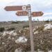 Proprietários recebem ajuda para tornar Alqueidão da Serra mais resistente ao fogo