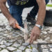 Formalizada candidatura da calçada portuguesa a património da Unesco