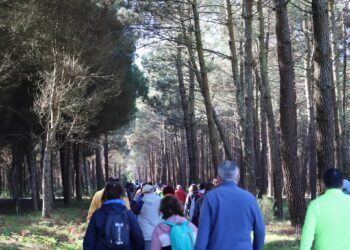 Caminhada promove saúde entre a população sénior