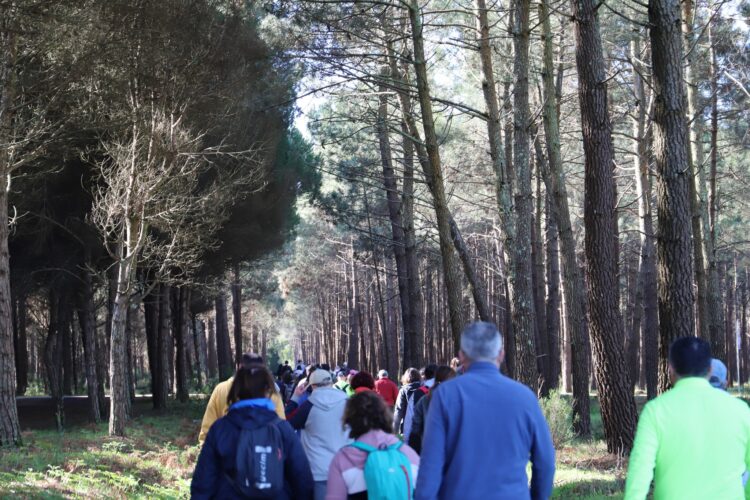 Caminhada promove saúde entre a população sénior