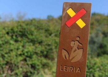 Rede de Percursos Pedestres convida a descobrir os trilhos do concelho de Leiria