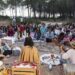 Festival da Terra de regresso à Lagoa de Pataias