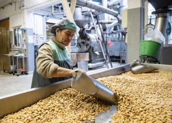 Maceira, localidade onde a tradição continua a dar frutos (secos)
