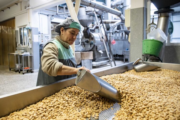 Maceira, localidade onde a tradição continua a dar frutos (secos)
