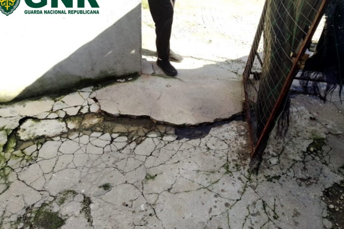 GNR detecta descarga ilegal de fossa doméstica para o solo em Alcobaça