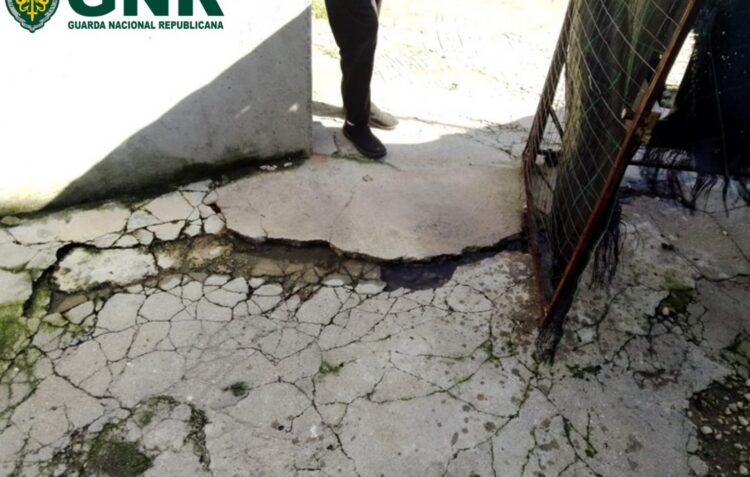 GNR detecta descarga ilegal de fossa doméstica para o solo em Alcobaça