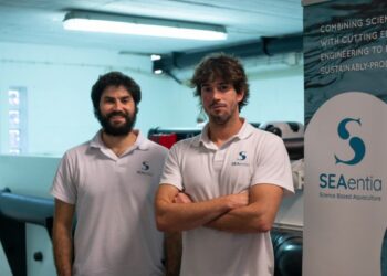 SEAentia estima produzir 700 toneladas de corvina por ano em Peniche