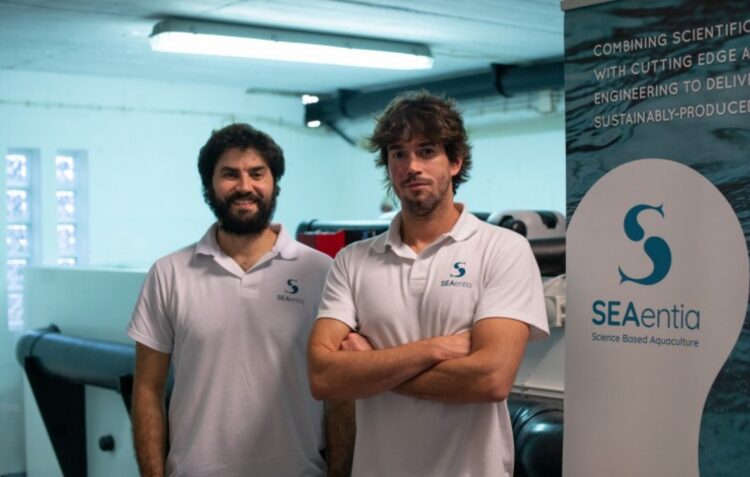 SEAentia estima produzir 700 toneladas de corvina por ano em Peniche