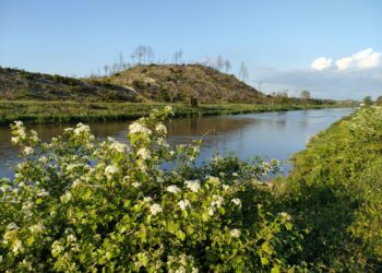 Águas do Centro Litoral assegura intervenção para despoluir Rio Lis antes do Verão