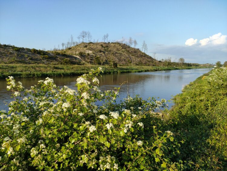 Águas do Centro Litoral assegura intervenção para despoluir Rio Lis antes do Verão